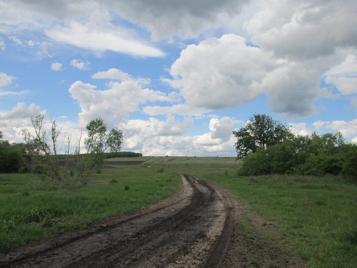 Белгаза Аткарский район