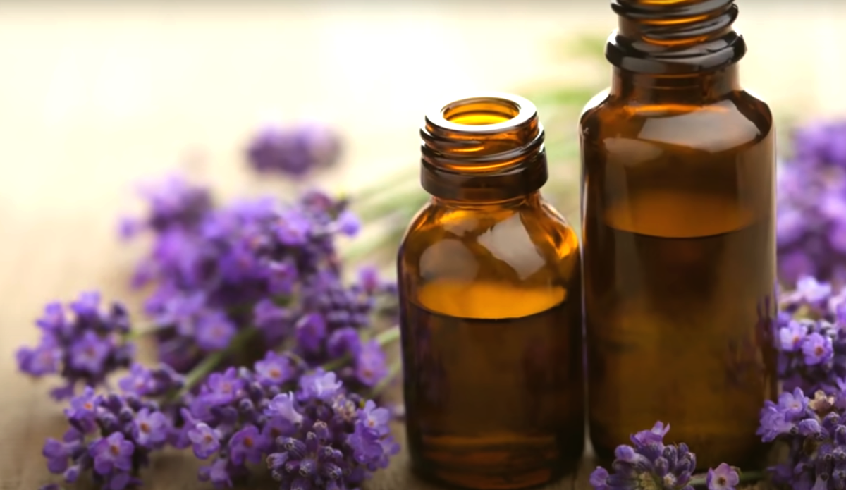 эфирное масло для борьбы с комарами