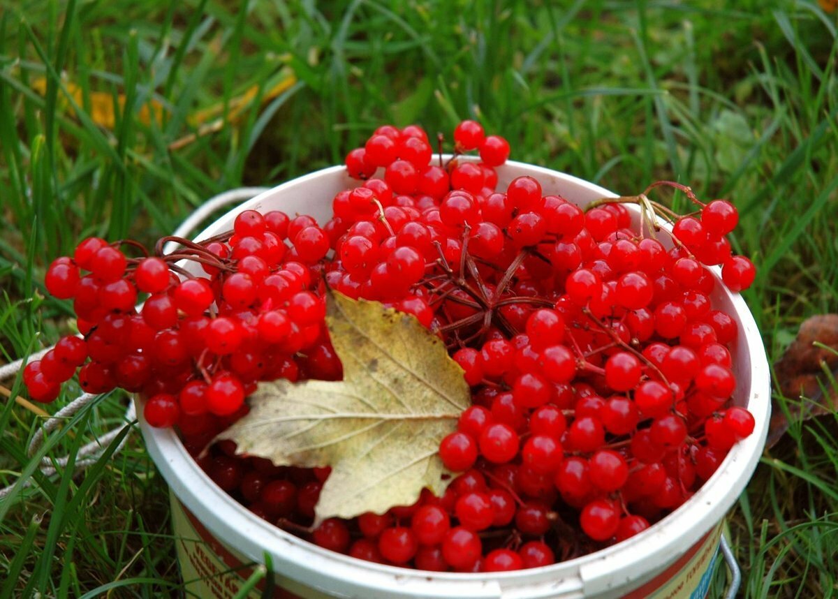 Фото взято из открытых источников Яндекс