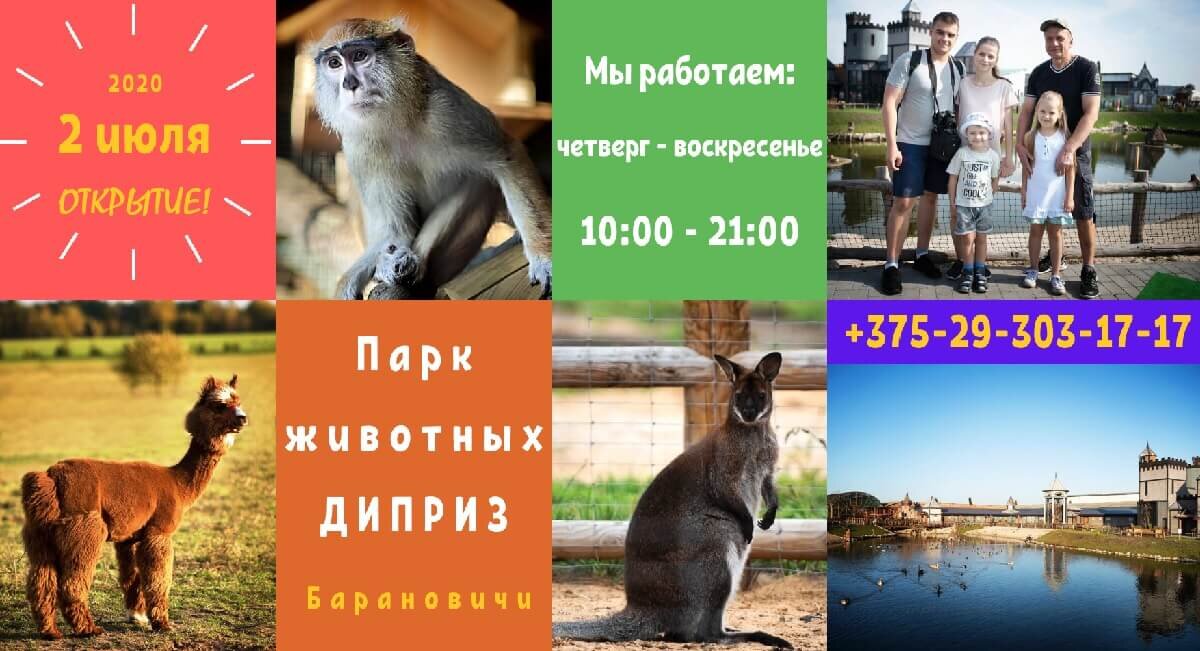 В парке животных Диприз стартовал сезон 2020