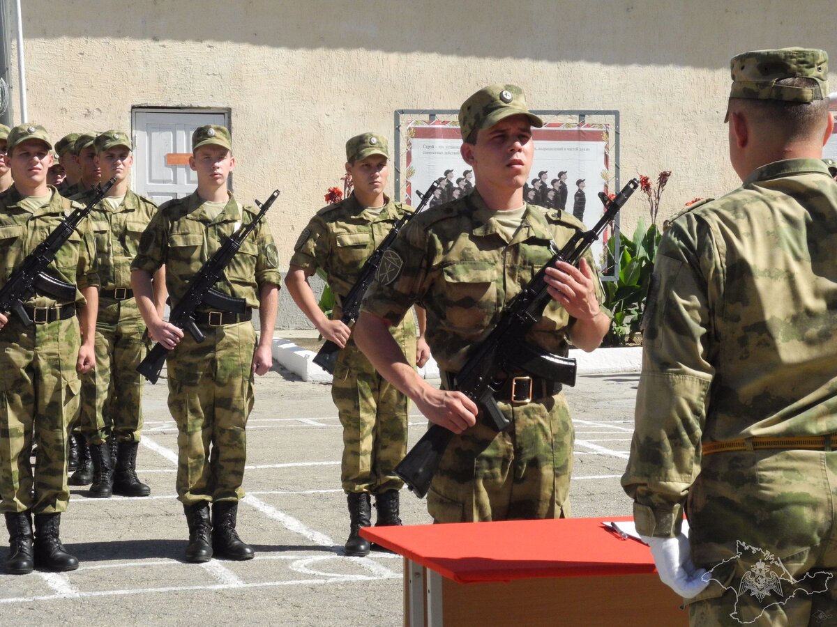 росгвардия вневедомственная охрана чечни. военные части в крыму. национальный батальон. нац батальон донбасс. батальоны национальной гвардии.