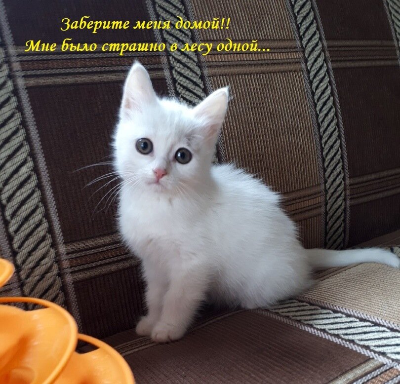 Сколько надежды в глазах!!!
