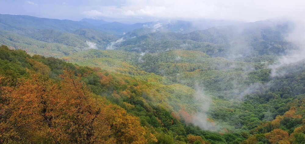 вид с Папая