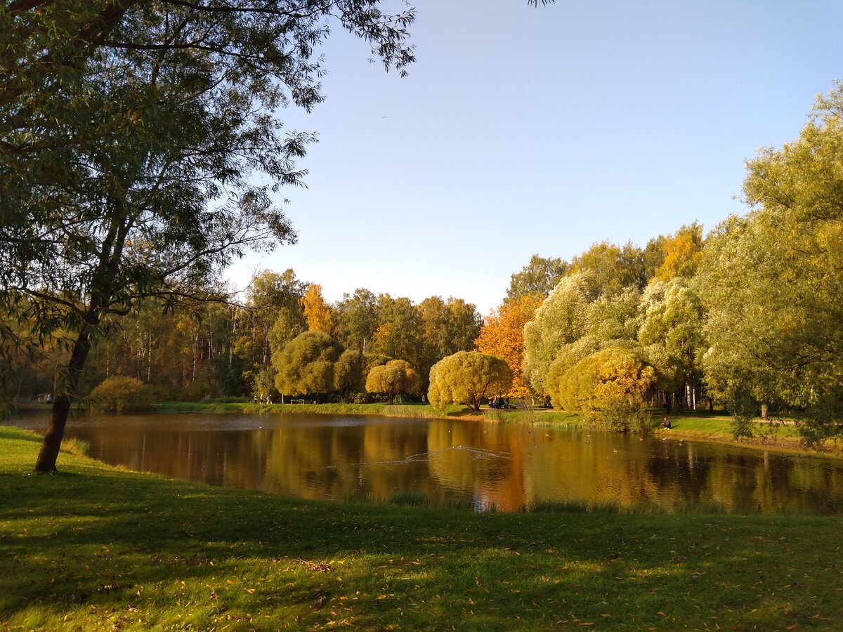 Фото автора 