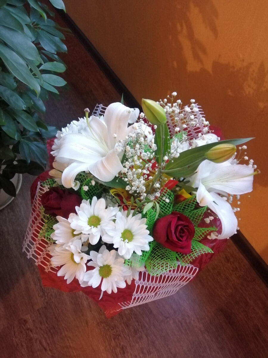 Злополучный подарок