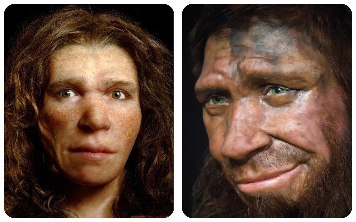 Реконструкция лица неандертальца на основе найденного в Европе черепа. Слева женщина, справа мужчина