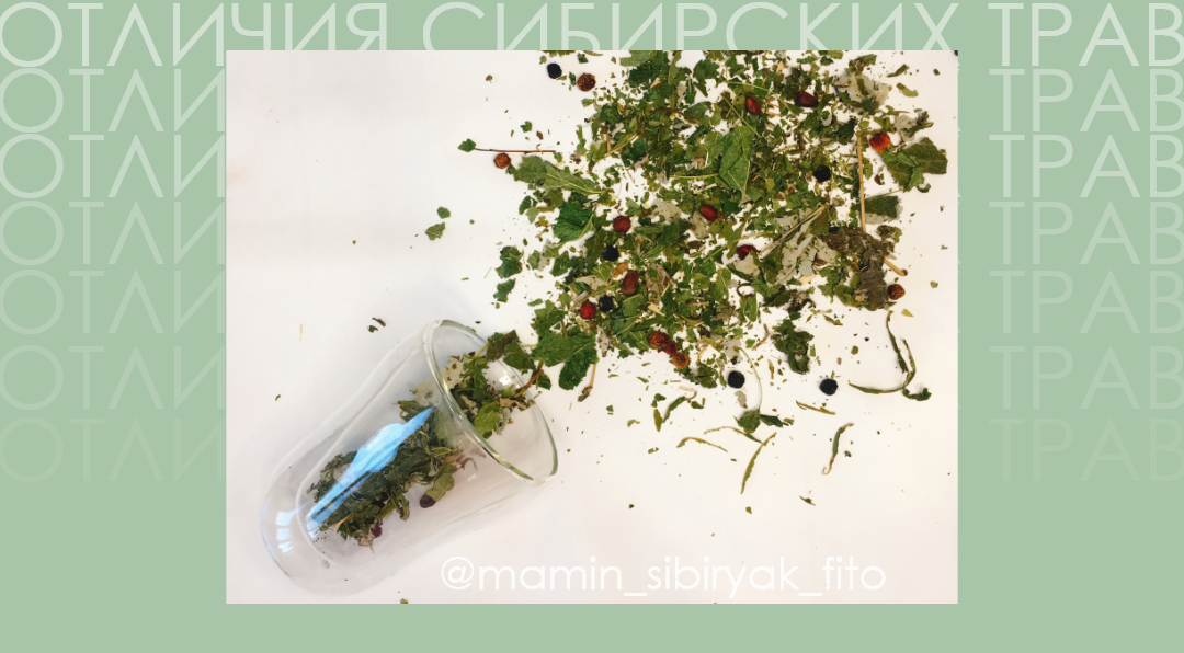 Фитосбор "Таёжный" с листьями смородины, малины и ежевики, кедровым орехом, черной рябиной и боярышником от бренда "Мамин сибиряк".
