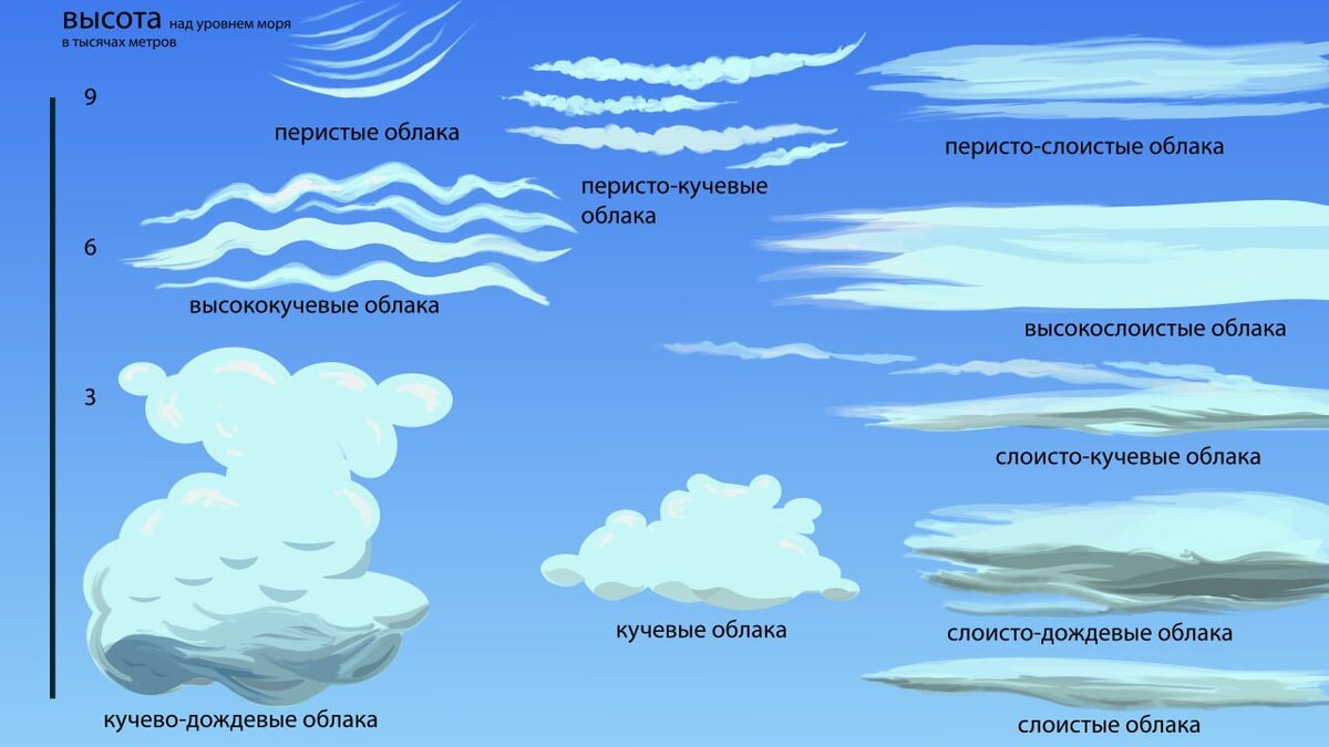 Какой из видов облаков формируется выше остальных. Виды облаков. Виды облаков рисунок. Перистые Кучевые и Слоистые. Абак виды.