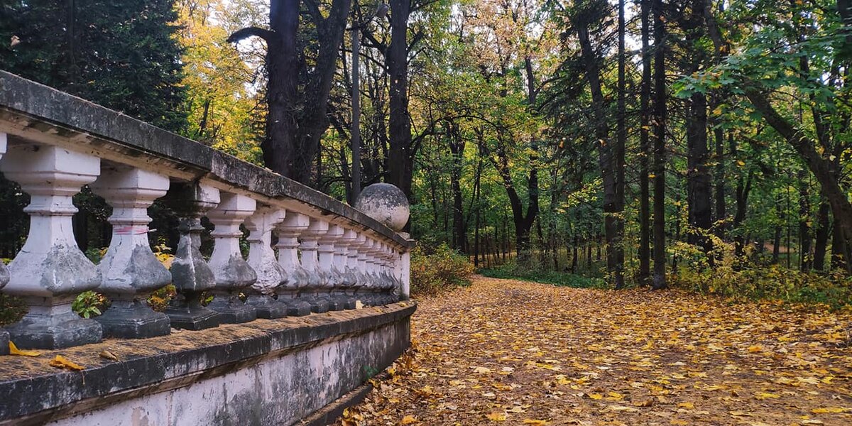 Усадьба Быково - опережая время