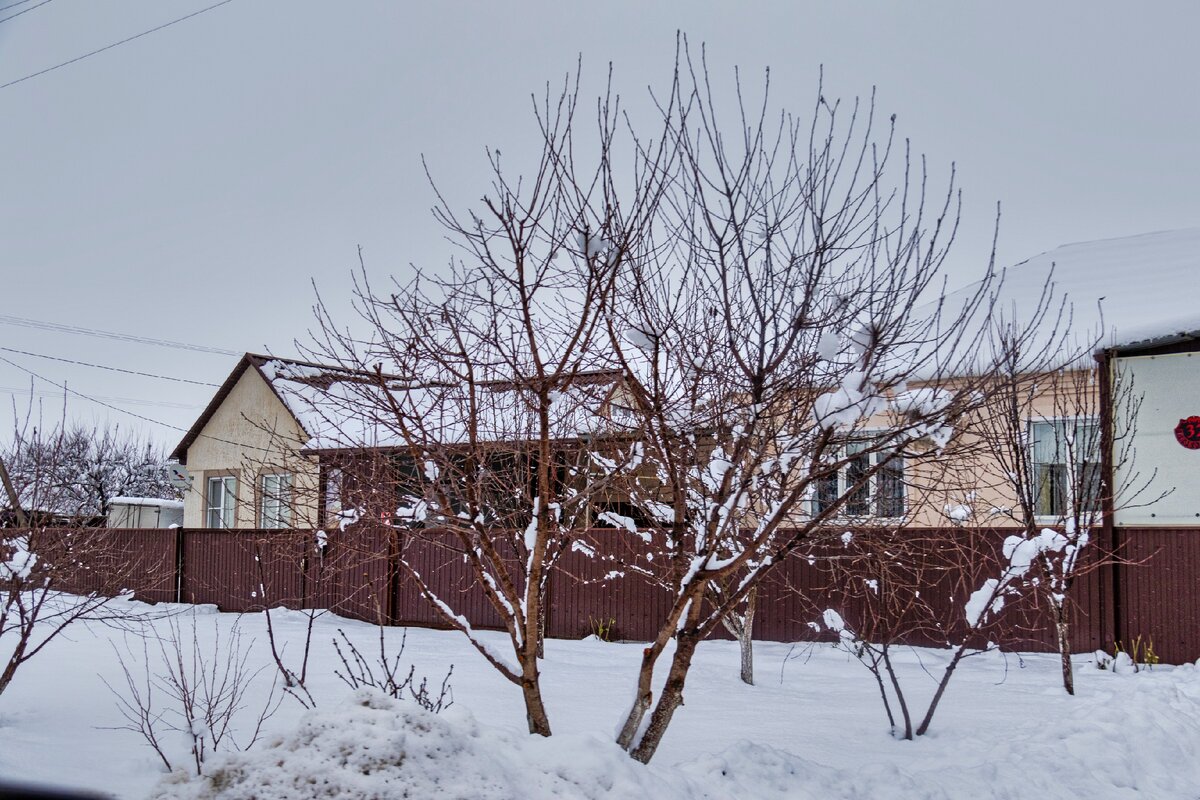 Железный – хутор, которому повезло стать малой родиной российского ...