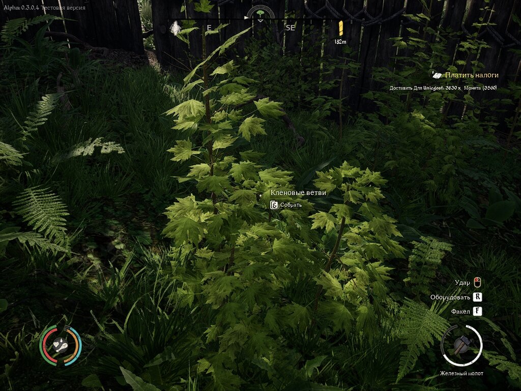 Кленовые ветви - один из основных источников палок. А еще березовые и еловые.