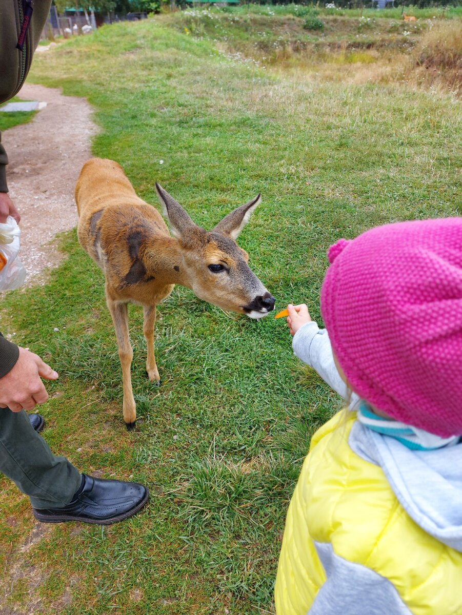 Листайте вправо. 