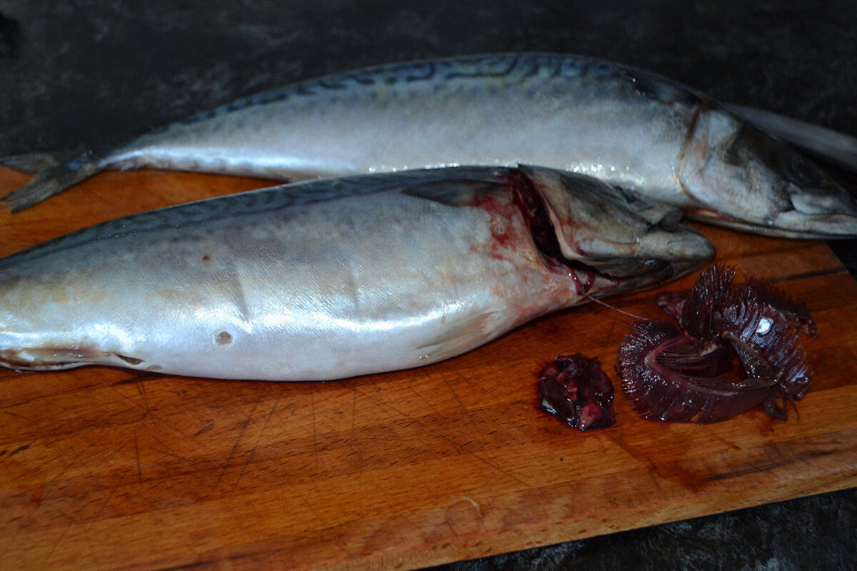 Рыба с овощами – пошаговый рецепт приготовления с фото
