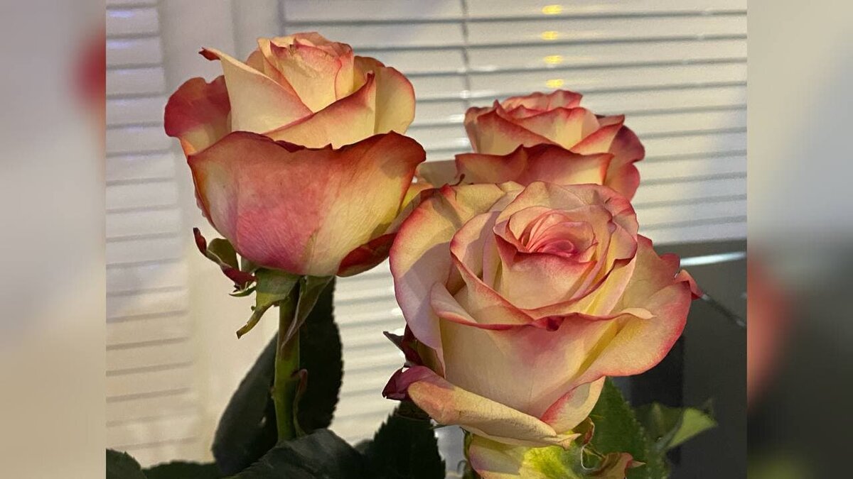 Не стоит переживать, если у вас не хватает денег для благотворительность. Главное заботиться о себе и самому встать на ноги.