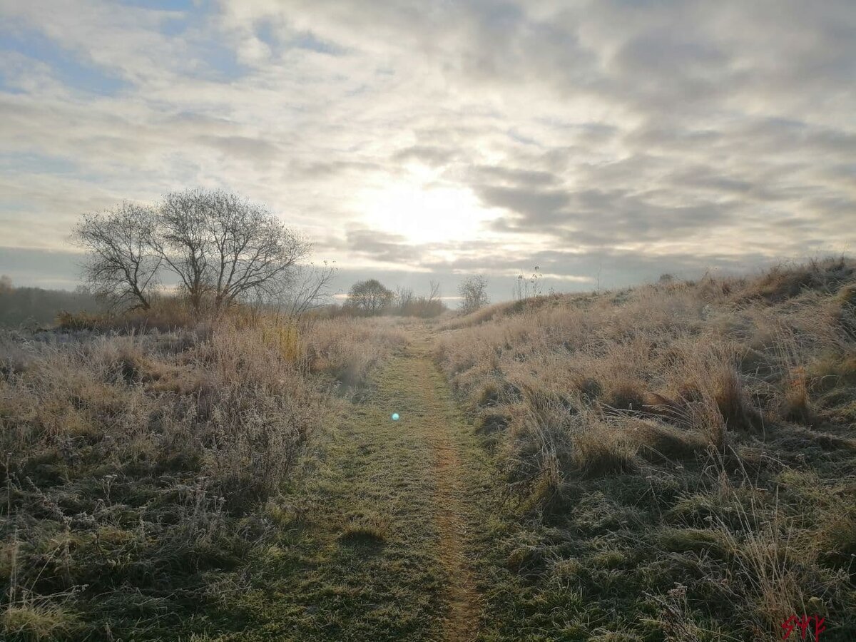 Авторское фото