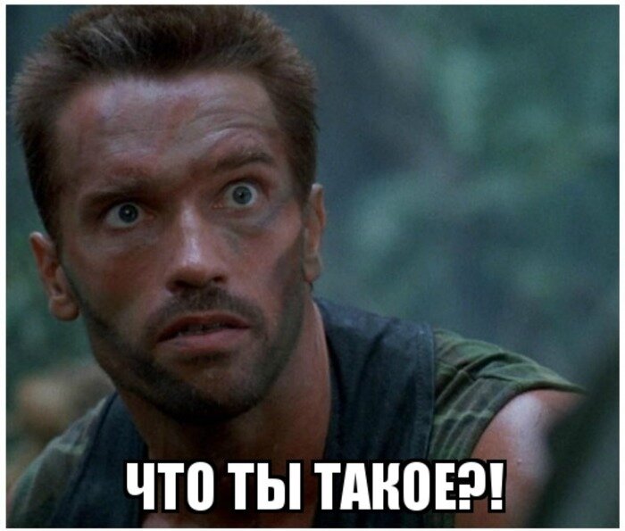 Источник: https://cs10.pikabu.ru/post_img/2020/07/12/12/1594585223139288229.jpg