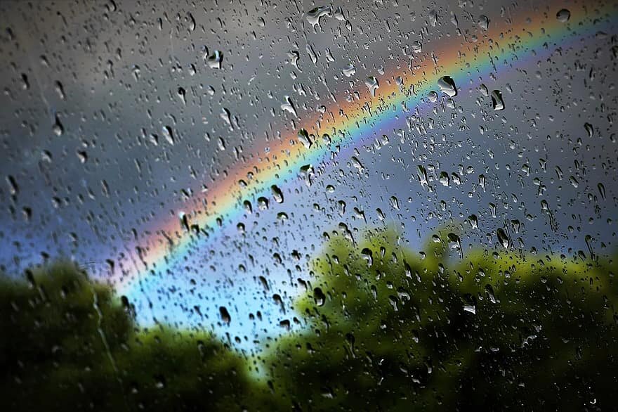 Фото из открытых источников Google