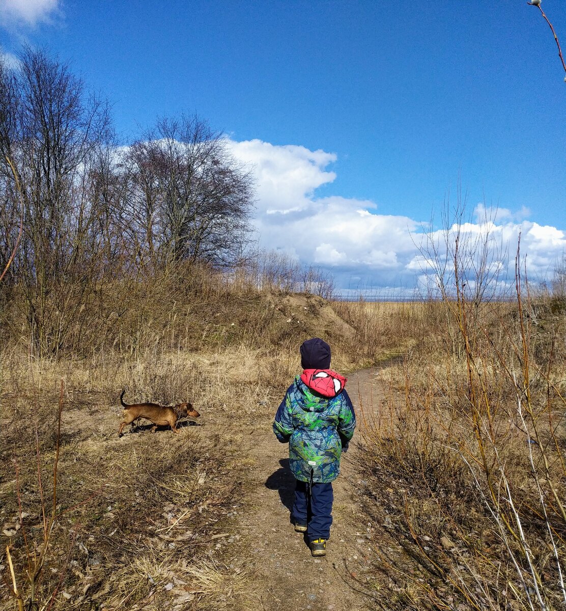 Заповедник - Западный Котлин.