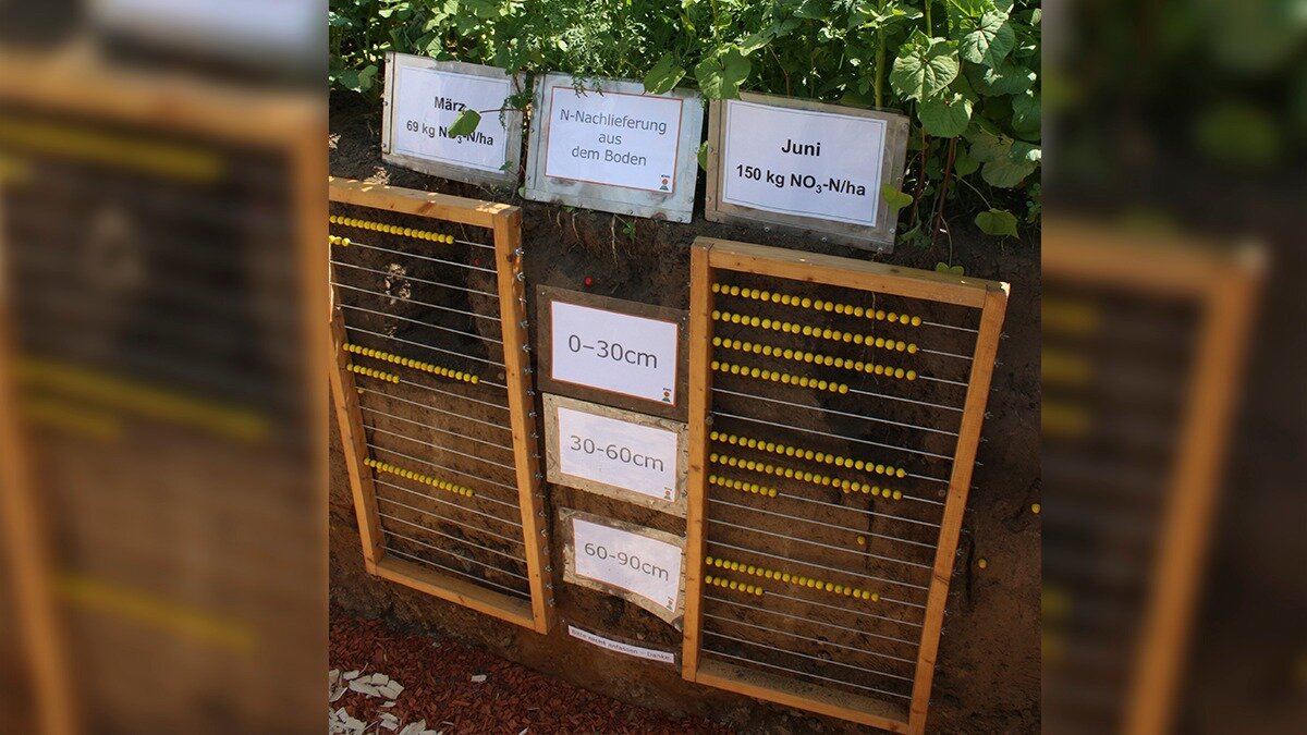 Фото: Клочков А.В. Предотвращение машинной деградации почв