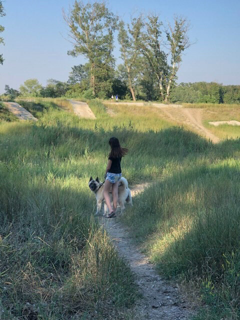 На прогулках с ним удобно - все обходят стороной и даже не пытаются наладить контакт