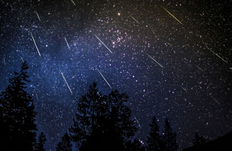 Фото:загружено из интернета Звёздный дождь