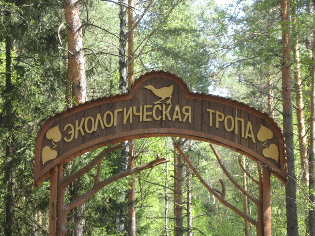Личное фото автора статьи  Экологическая тропа