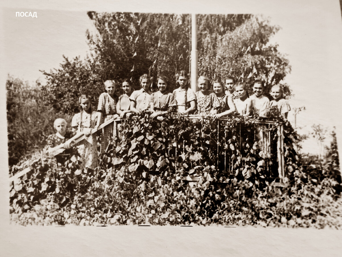 Линейка. Здесь каждое утро строился весь лагерь и торжественно поднимали флаг.