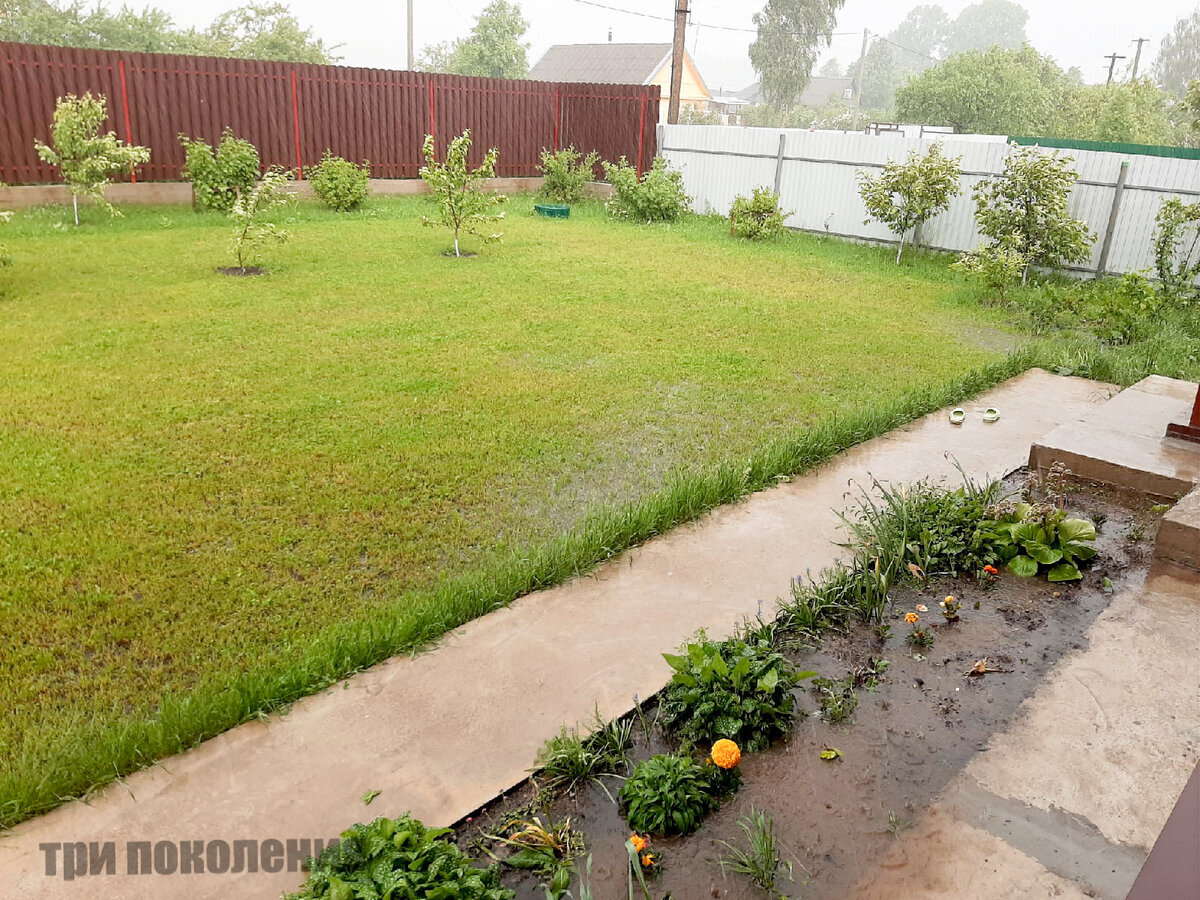 Добавьте описание