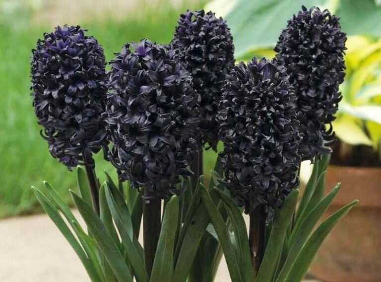 Фото: из открытых Интернет-источников