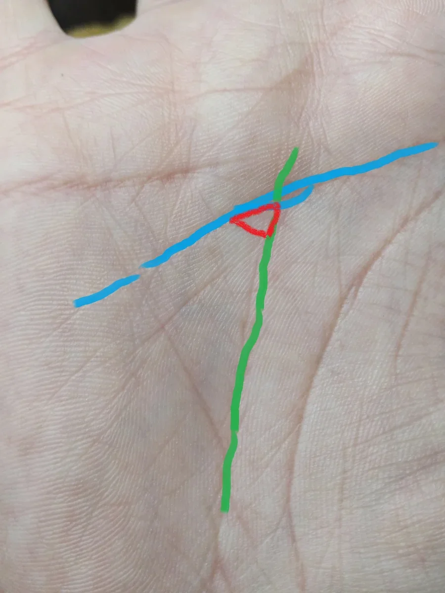 Знак "денежный кошелёк" обозначен красным. Линия ума - голубая, линия судьбы зелёная. Фото из личного архива. 