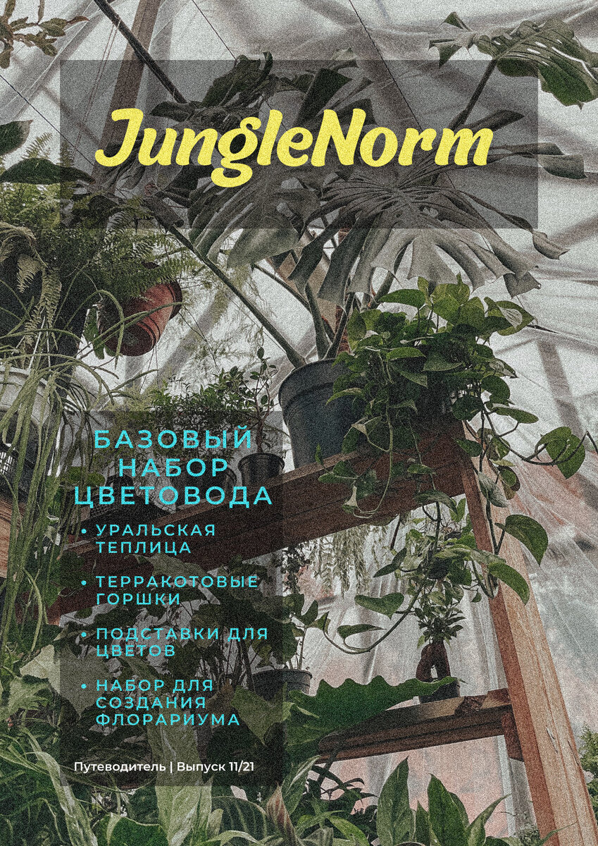 Выпуск #1 | 11/21