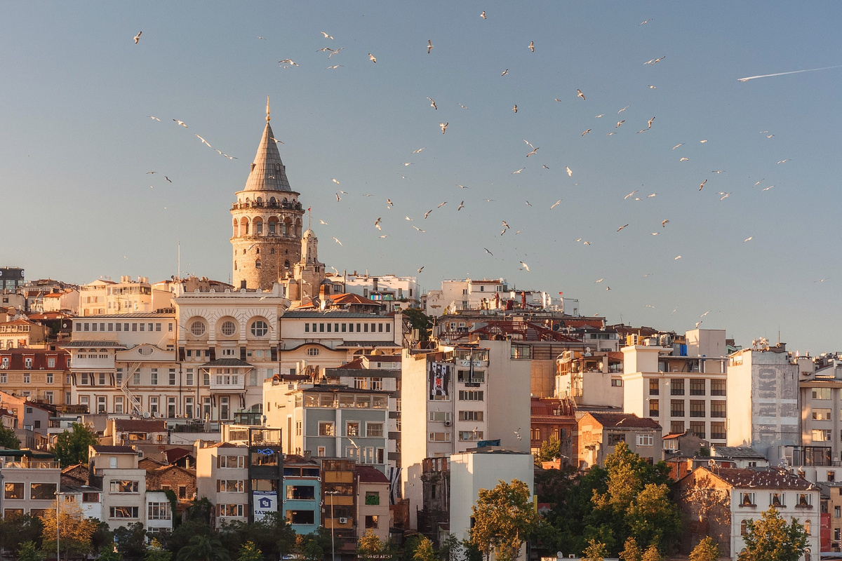 Стамбул. Источник фото: unsplash.com Автор: Anna Berdnik