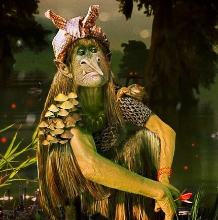 Фото из открытых источников 