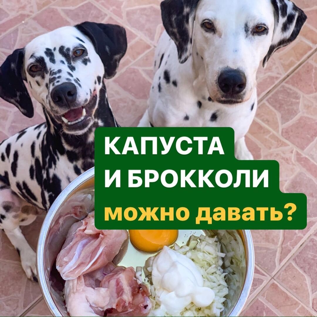 Леся и Мира