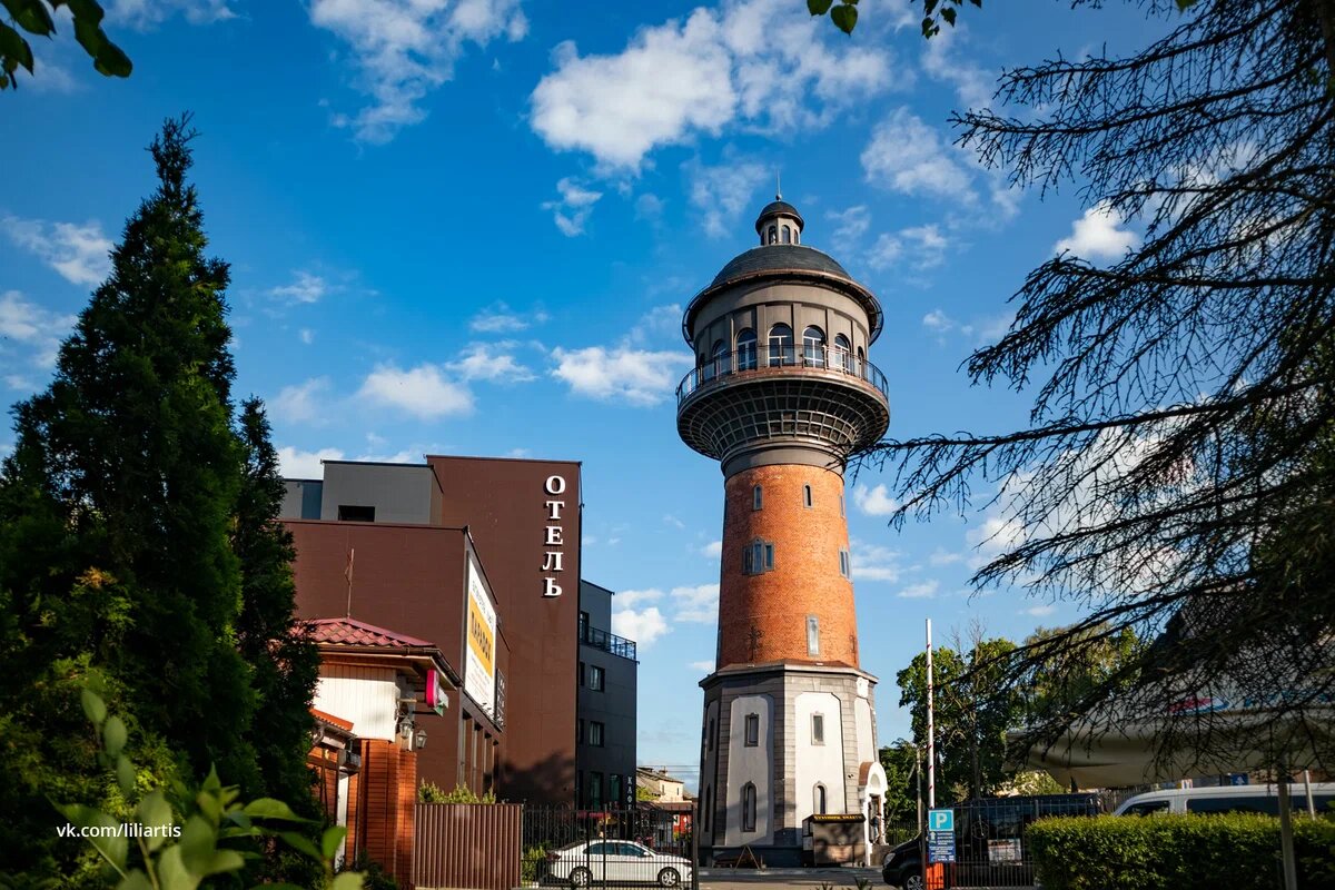 Фото мурариум в зеленоградске