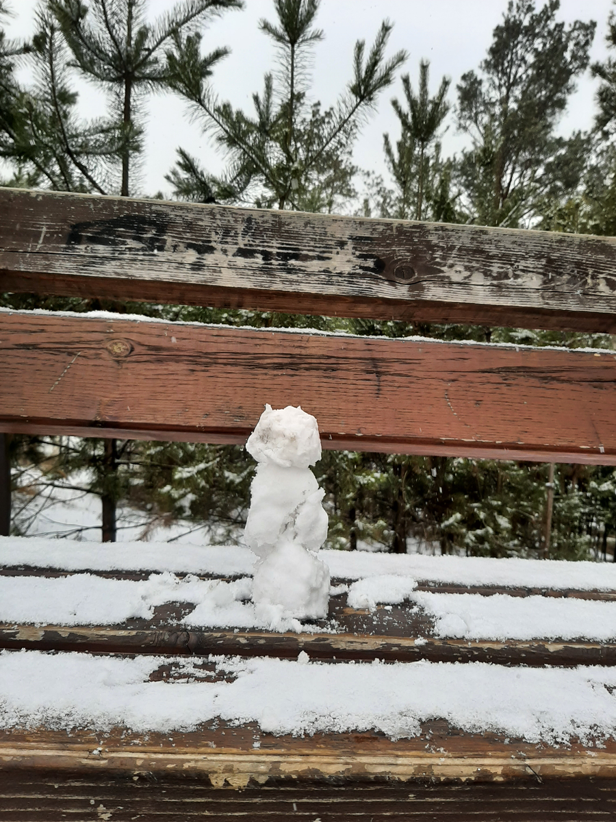 Первый снеговик сына)