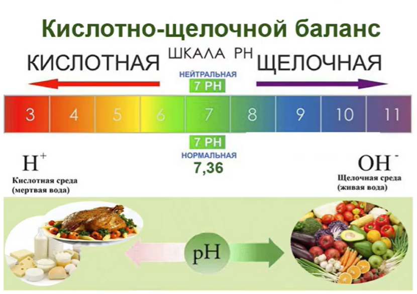 Щелочной баланс организма