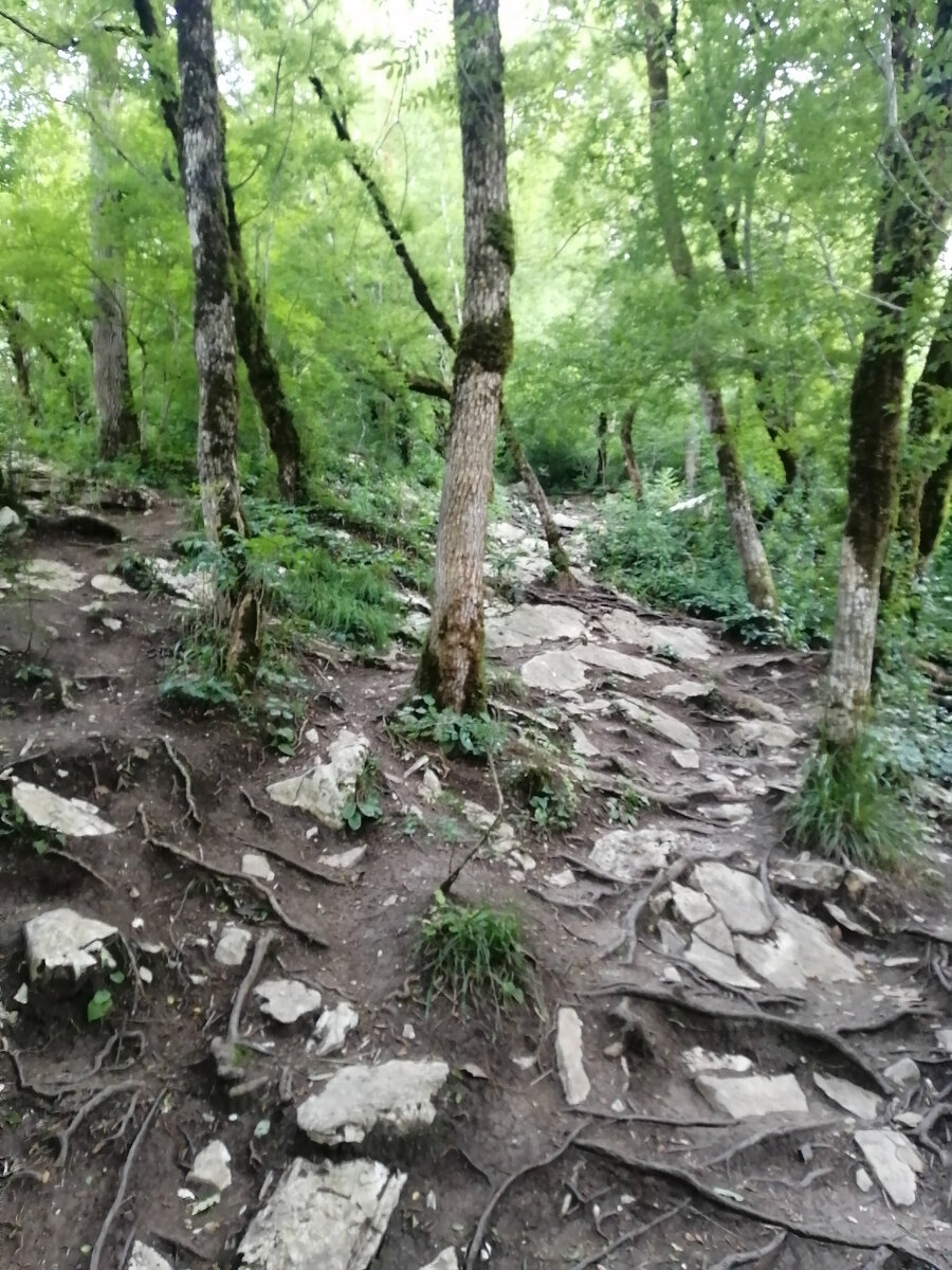 Это спуск к реке