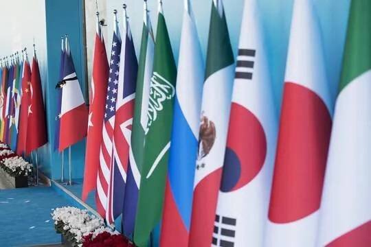    Президент Индонезии Видодо настаивает на смягчении риторики в адрес России на G20