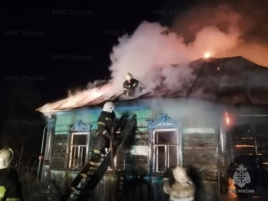     Фото: ГУ МЧС России по тульской области