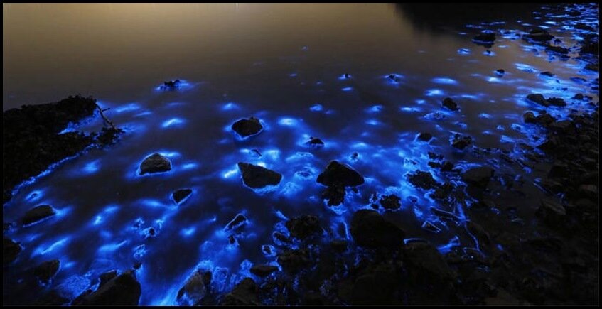 Демидов Вадим Александрович