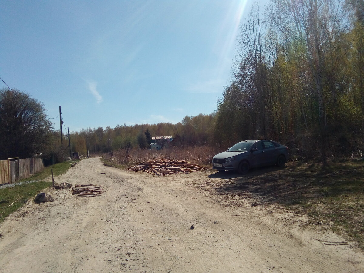 Поселение Золотые. Несколько домов и бегающая свора собачек