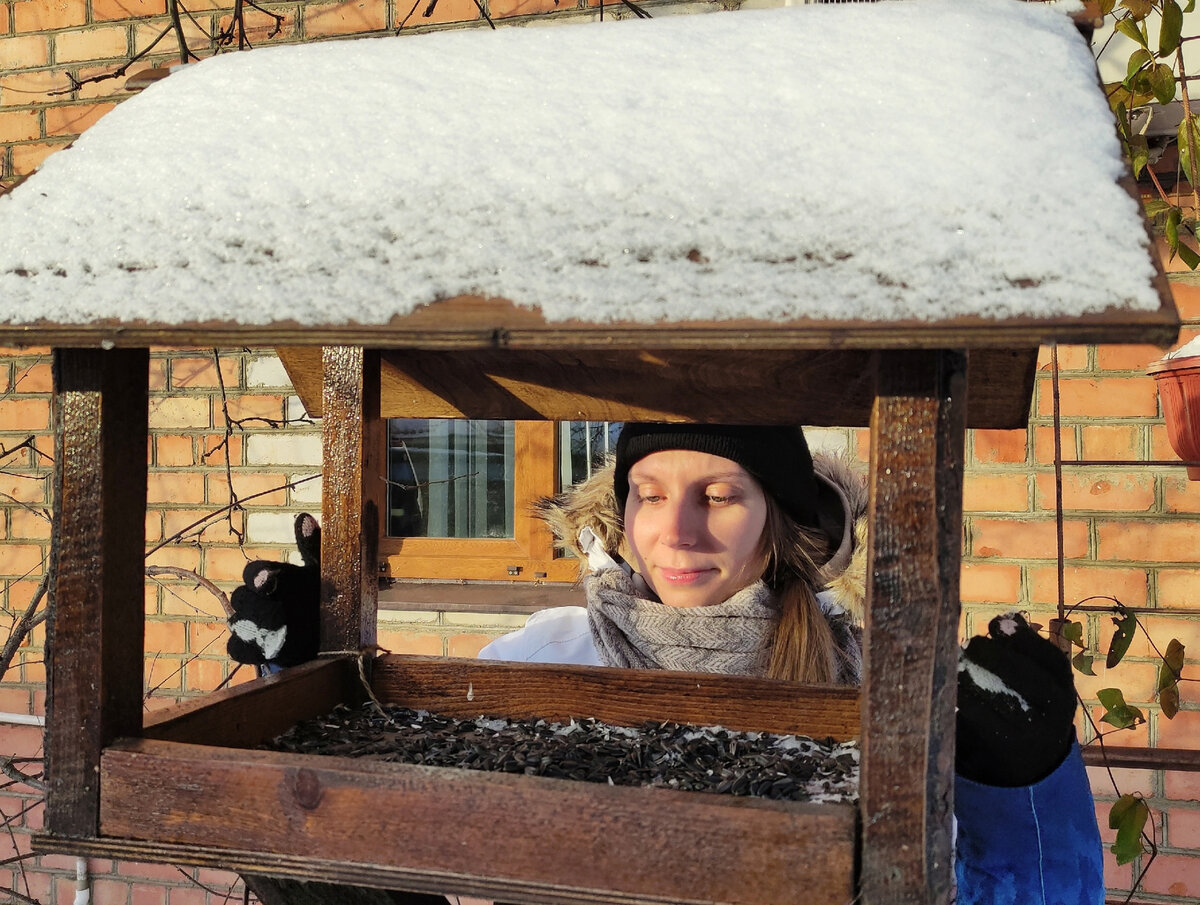 Делаем простую кормушку для птиц своими руками | Школа садовода | Дзен