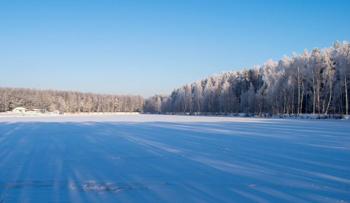 Зима в Подмосковье. ❄ Фотография автора статьи.