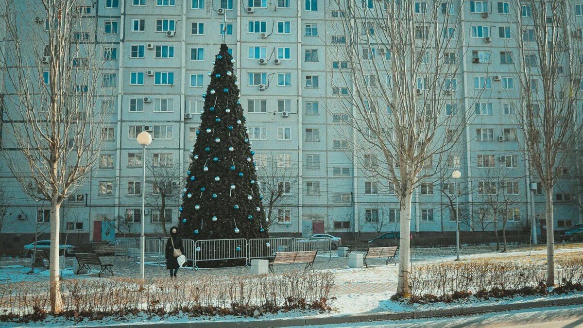     Работа вошла в топ-3 занятий на новогодних каникулах в Волгограде. Большинство горожан вынуждены работать на праздники из-за специфики профессии, но есть и те, для кого это возможность дополнительно подзаработать.