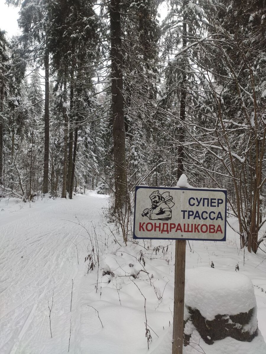 На лыжной трассе ГАБО