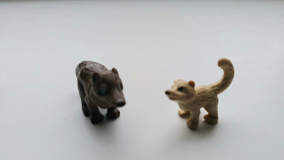 Нашла дома что-то похожее на собак