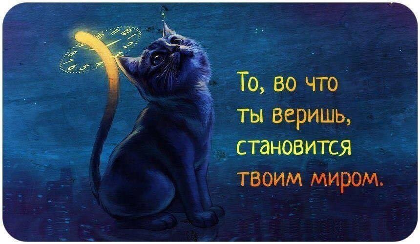 Вы верите в это. Фразы о знаках Вселенной. Цитата то во что ты веришь становится твоим миром. Верьте в чудеса. Высказывания про знаки Вселенной.