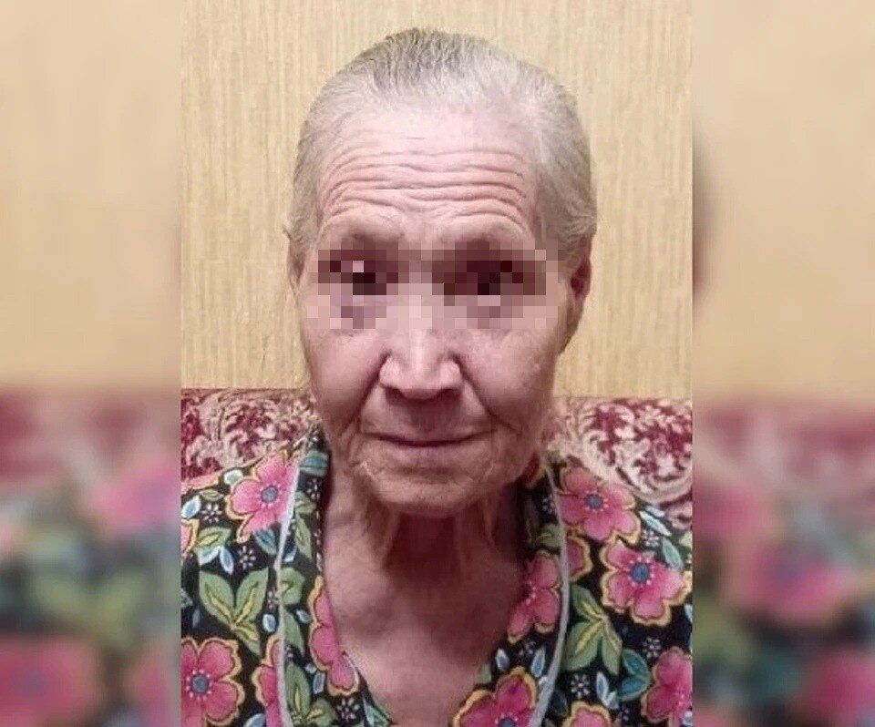    Фото: «Лиза Алерт»