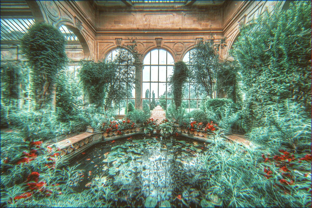 Яндекс Картинки